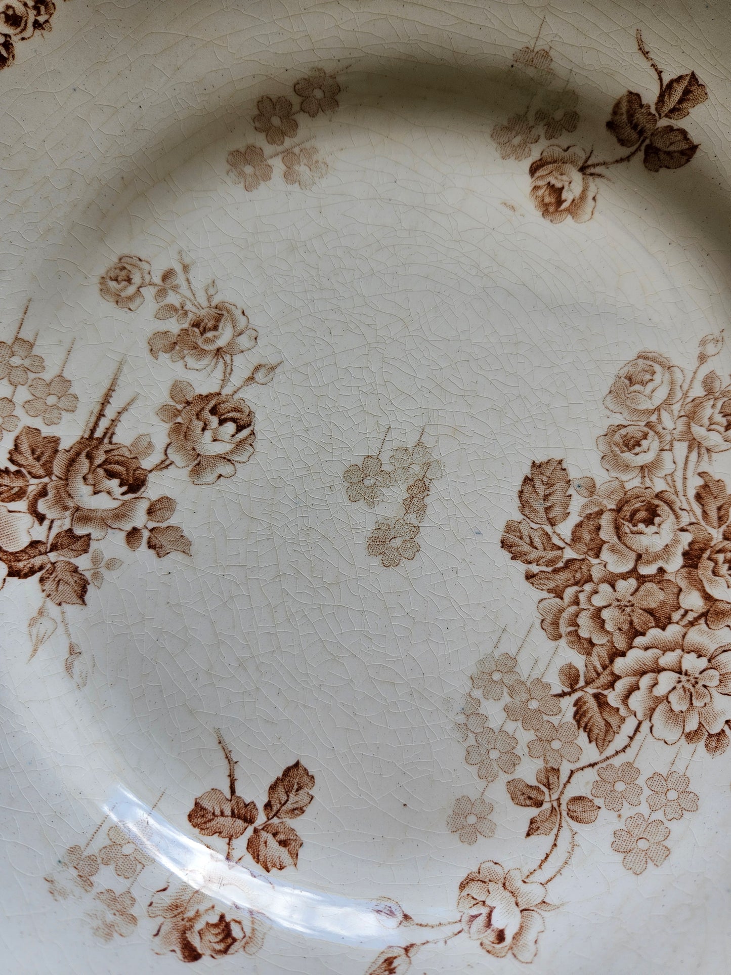 Assiettes plates HB & Cie, Lucie #3