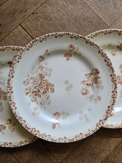 Assiettes plates HB & Cie, Lucie #3