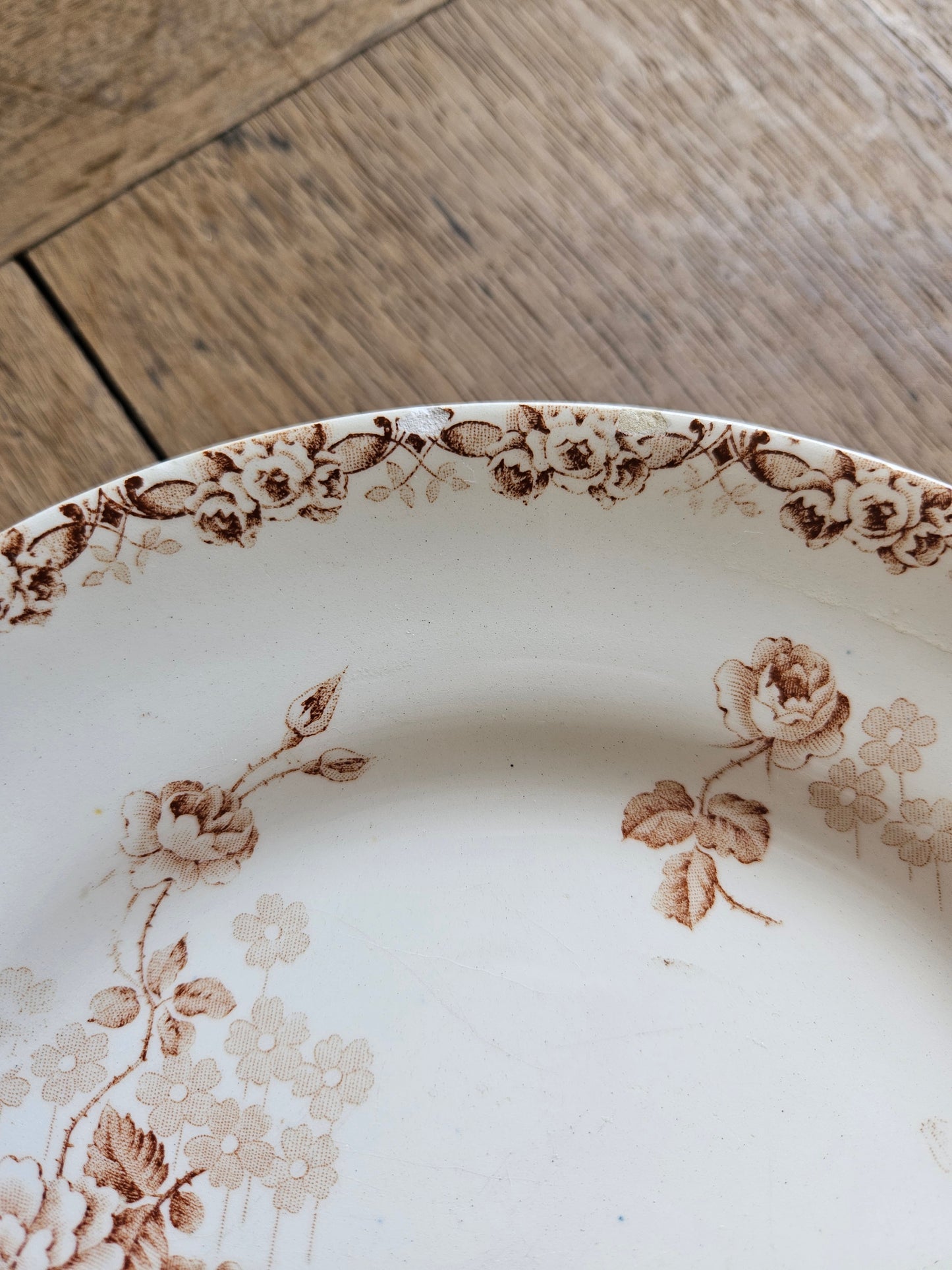 Assiettes plates HB & Cie, Lucie #3