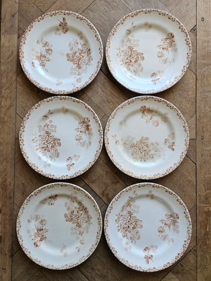 Assiettes à dessert HB & Cie, Lucie