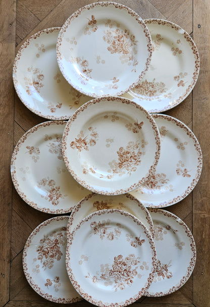 Assiettes abîmées HB & Cie, Lucie