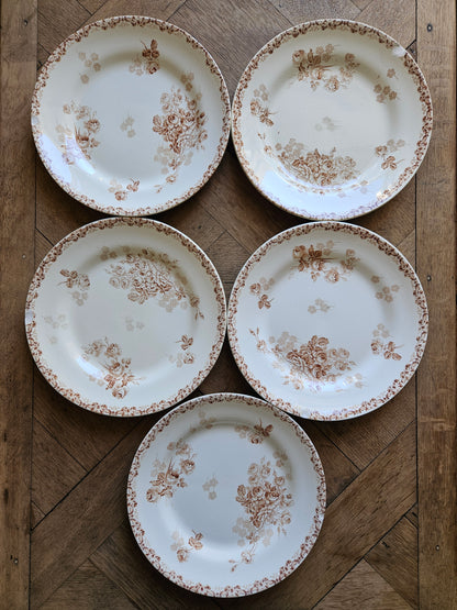 Assiettes abîmées HB & Cie, Lucie