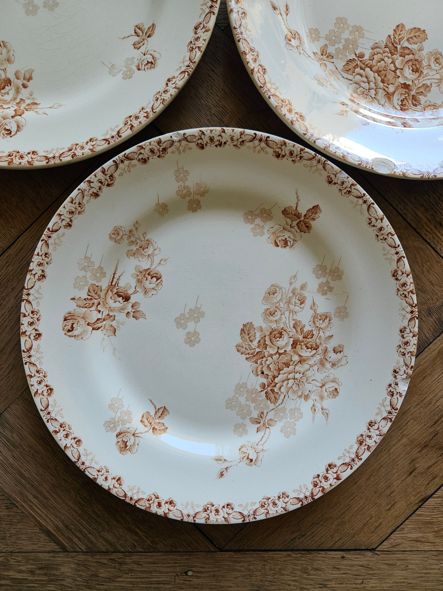 Assiettes abîmées HB & Cie, Lucie