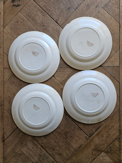 Assiettes abîmées HB & Cie, Lucie