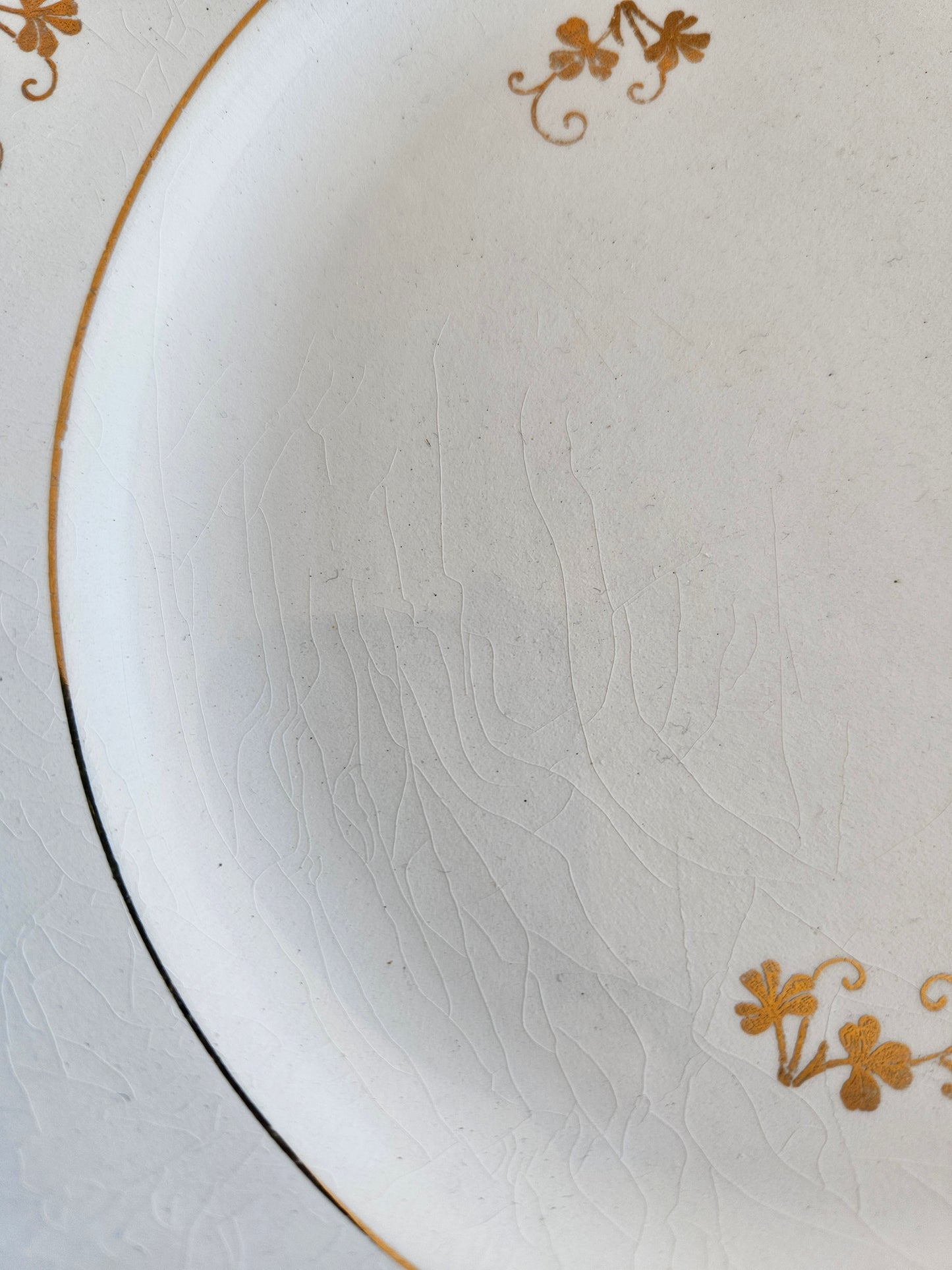 Assiettes plates dépareillées, fleurs et dorure