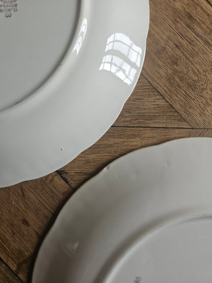 Assiettes plates dépareillées, vert pomme et fleuri