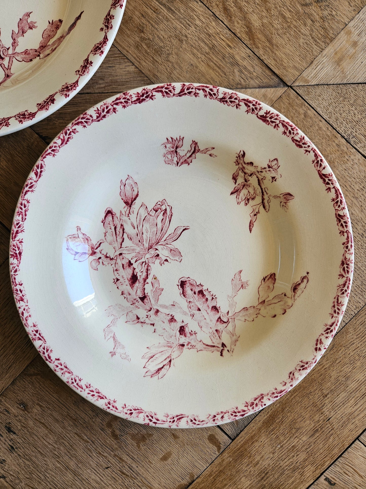 Assiettes creuses Gien, Cactus