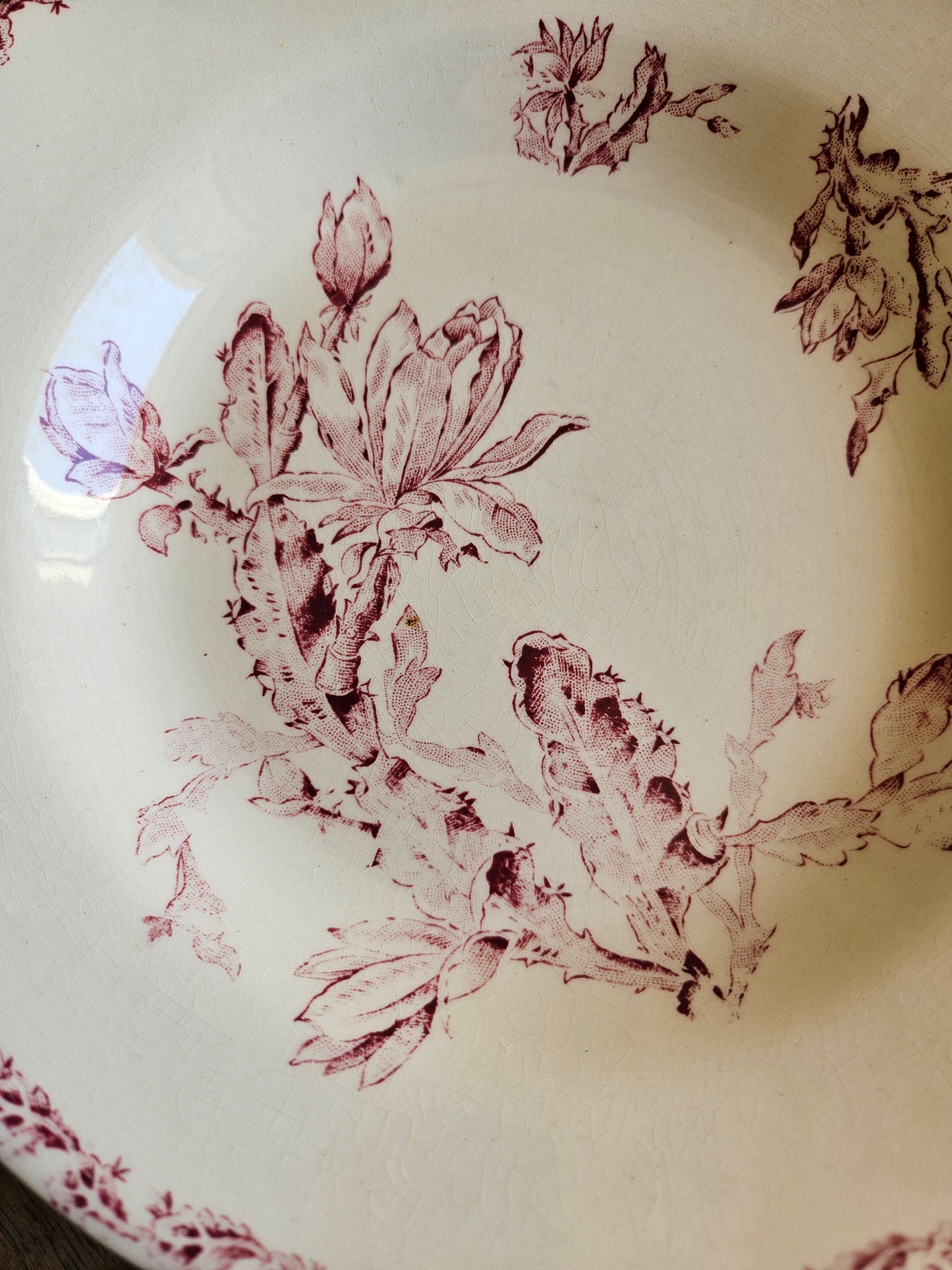 Assiettes creuses Gien, Cactus