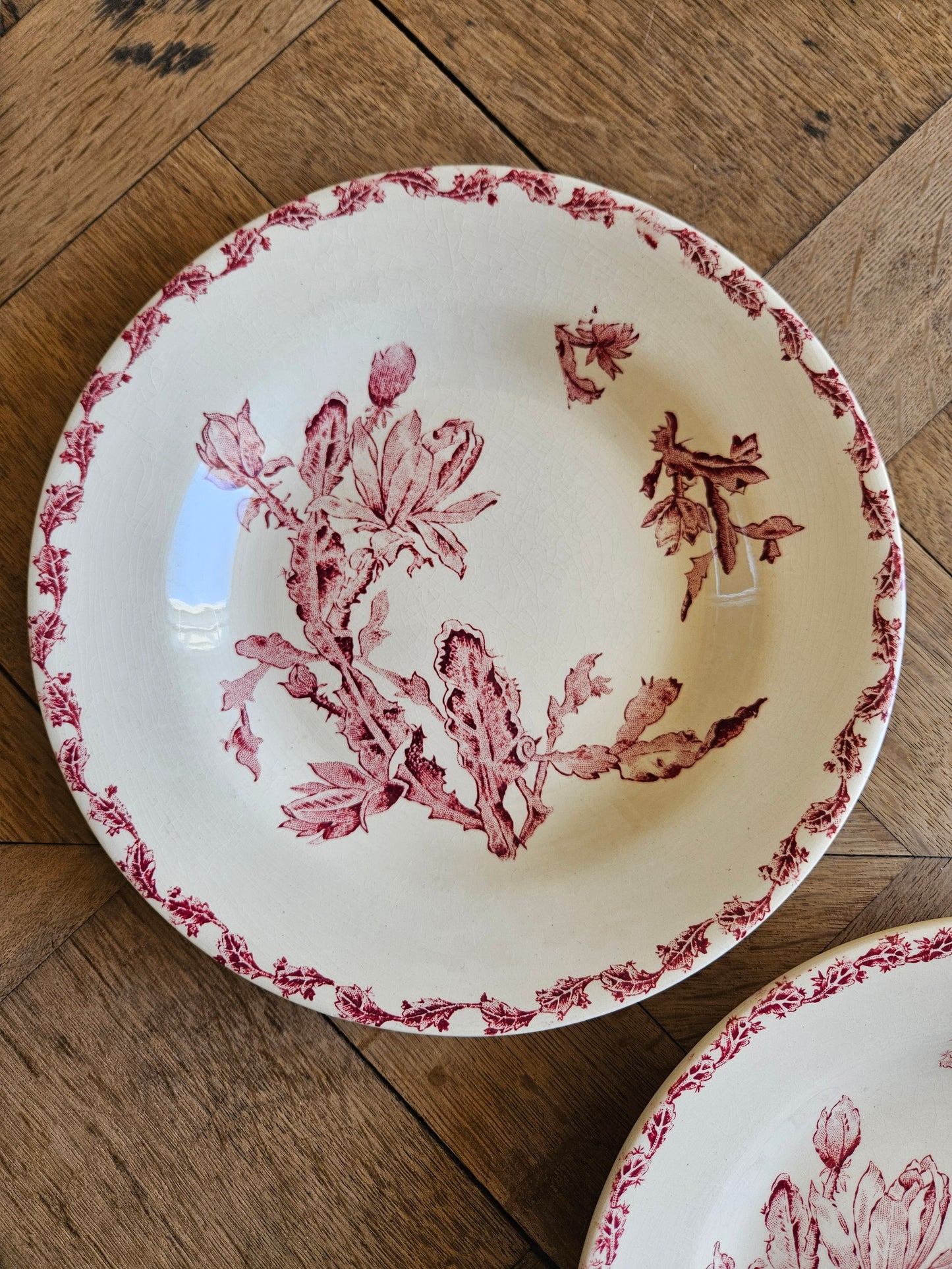 Assiettes creuses Gien, Cactus