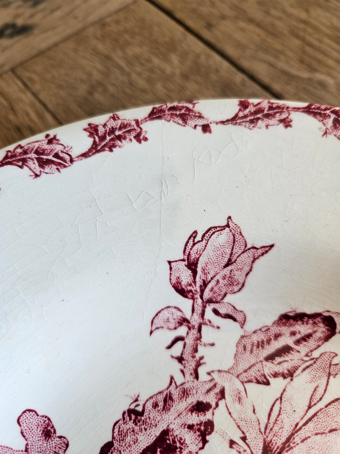 Assiettes creuses Gien, Cactus