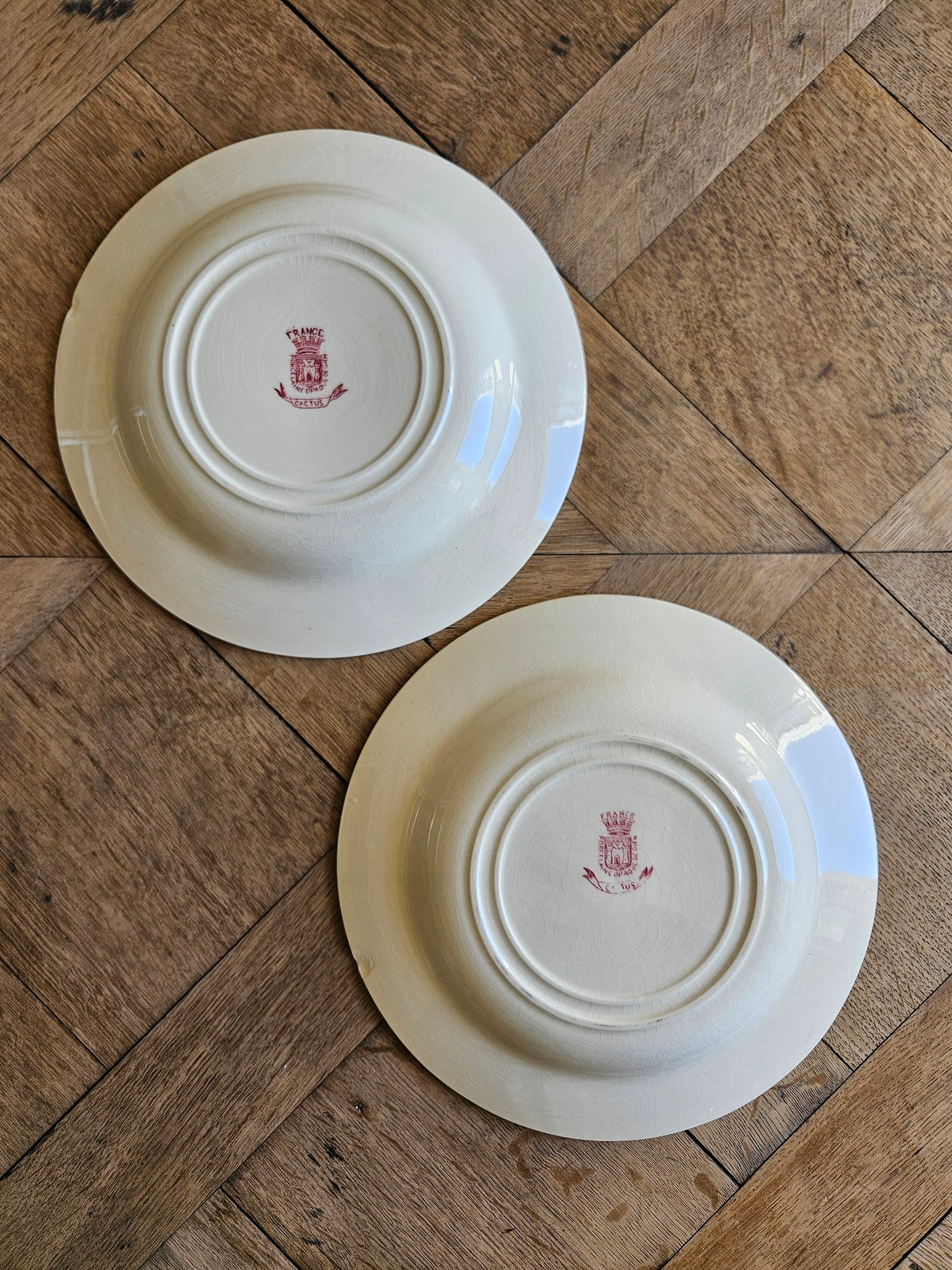 Assiettes creuses Gien, Cactus