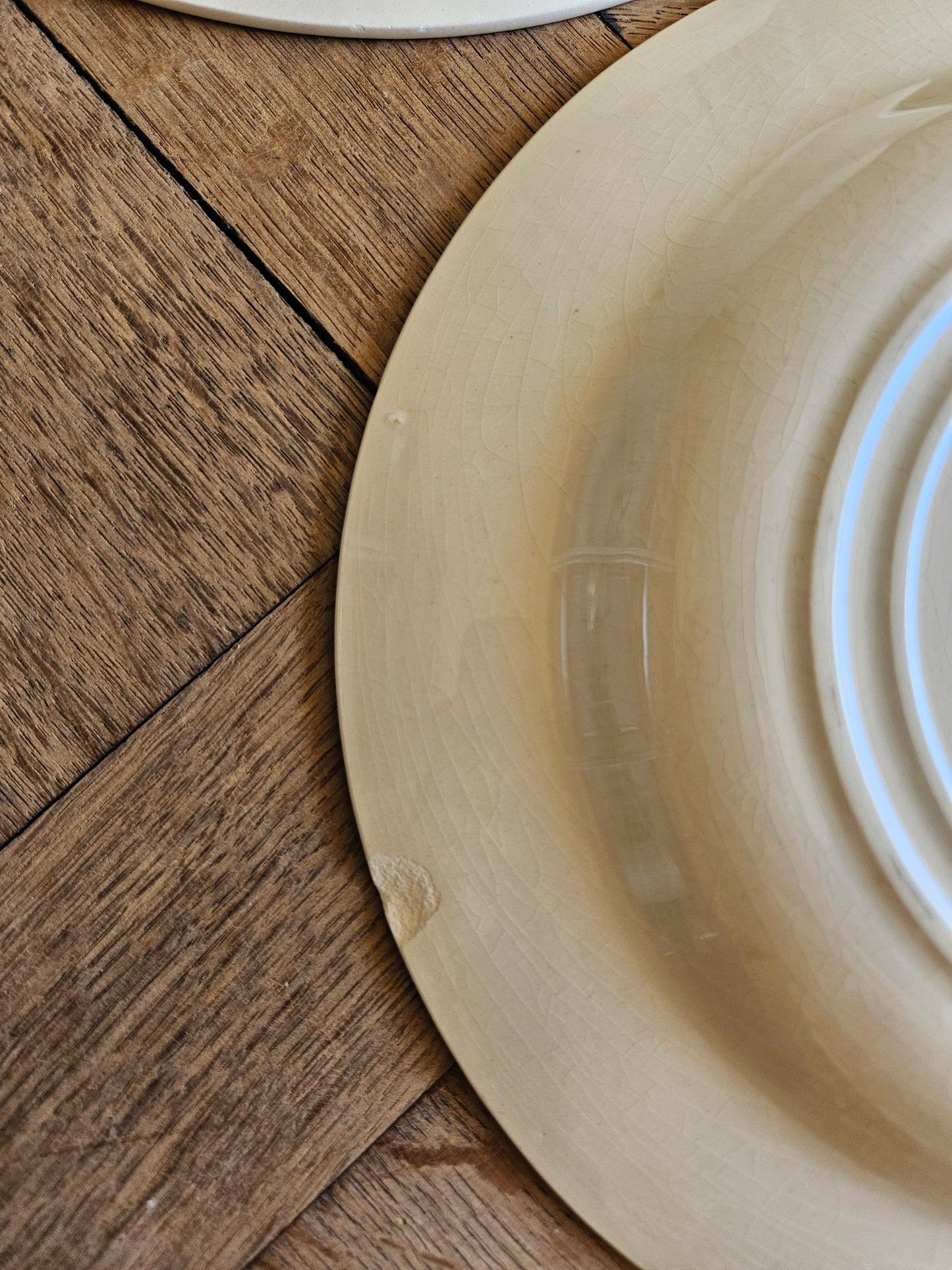 Assiettes creuses Gien, Cactus