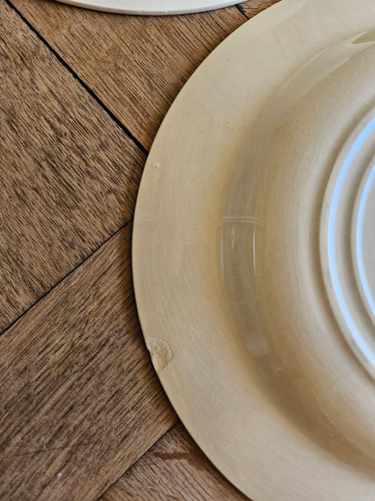 Assiettes creuses Gien, Cactus