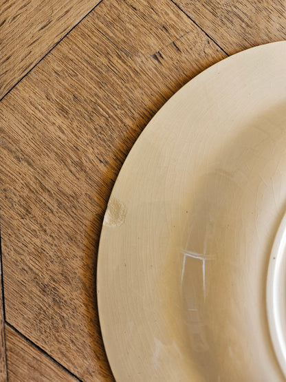 Assiettes creuses Gien, Cactus