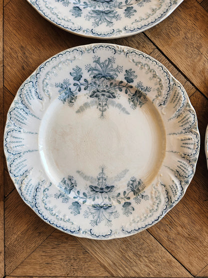 6 assiettes à dessert St Amand, Régence