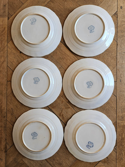 6 assiettes à dessert St Amand, Régence