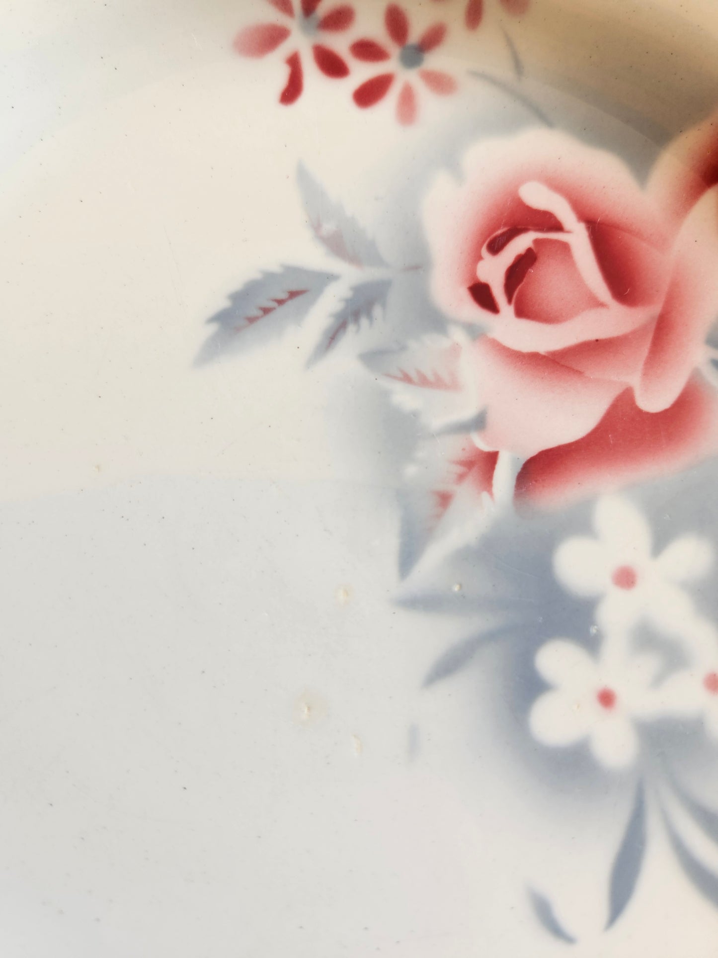 Assiettes plates rétro Digoin, Olga