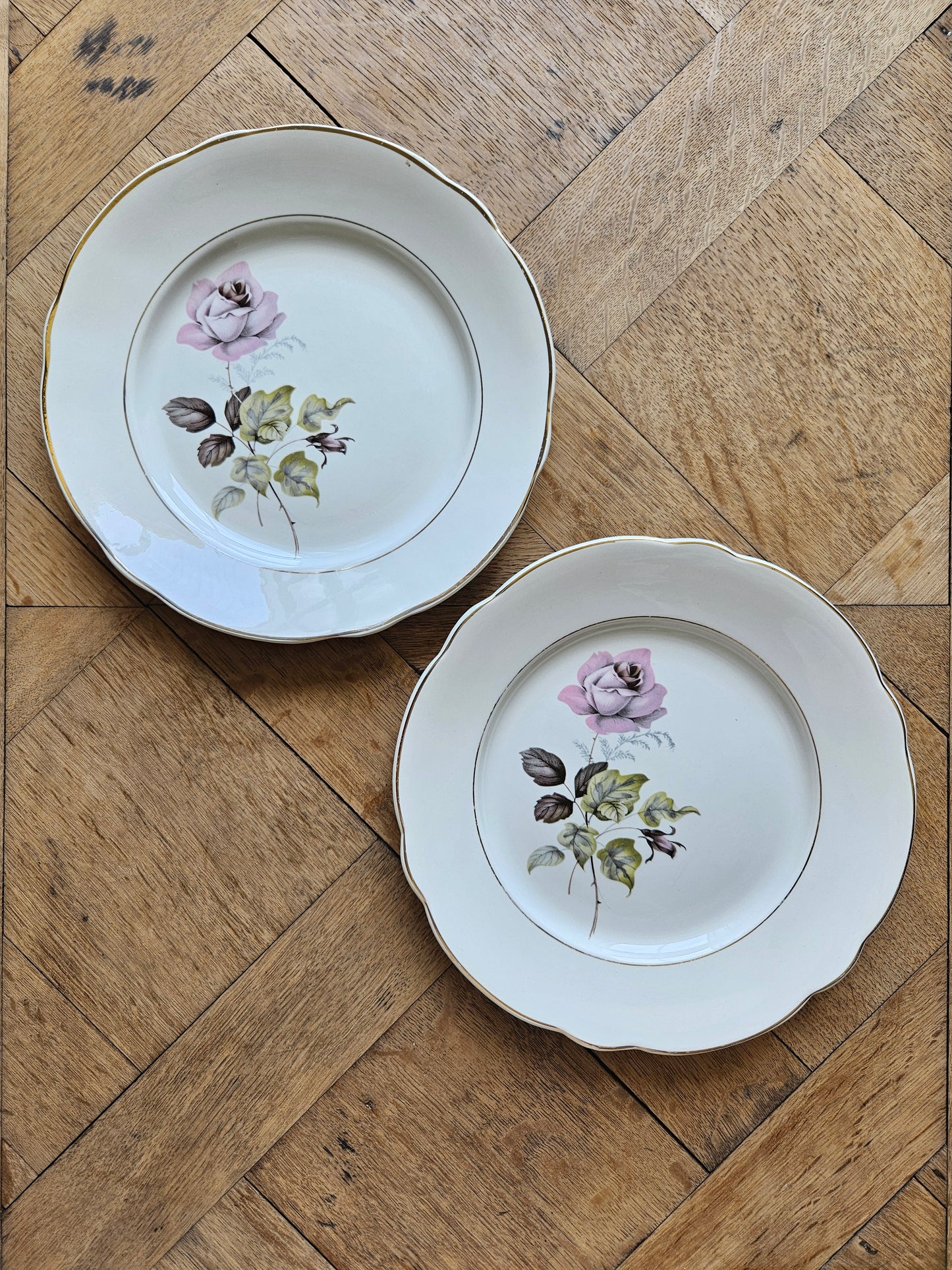 Assiettes plates dépareillées "Perigord"