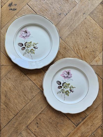 Assiettes plates dépareillées "Perigord"