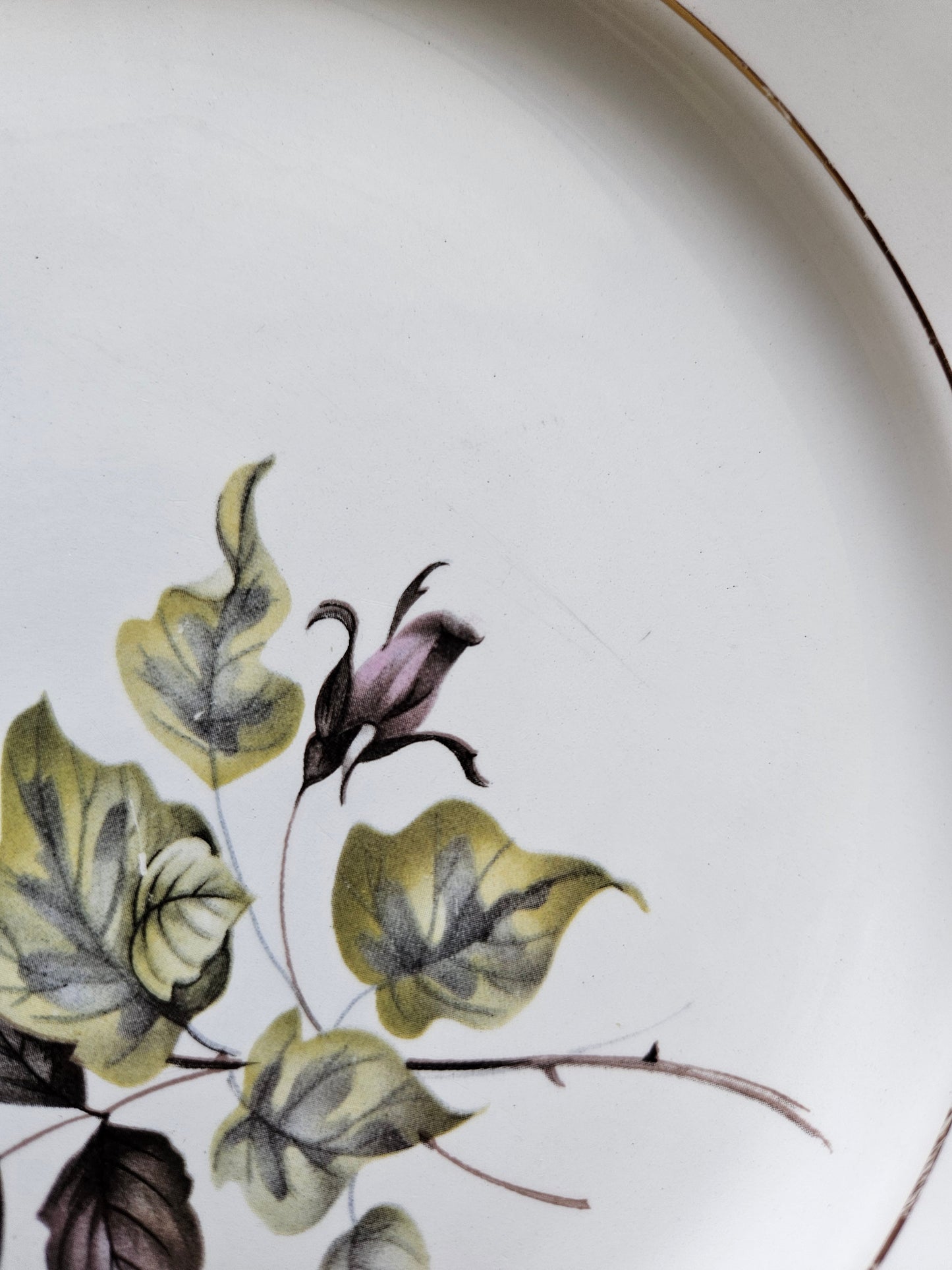 Assiettes plates dépareillées "Perigord"