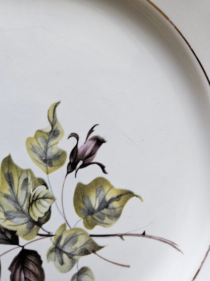 Assiettes plates dépareillées "Perigord"