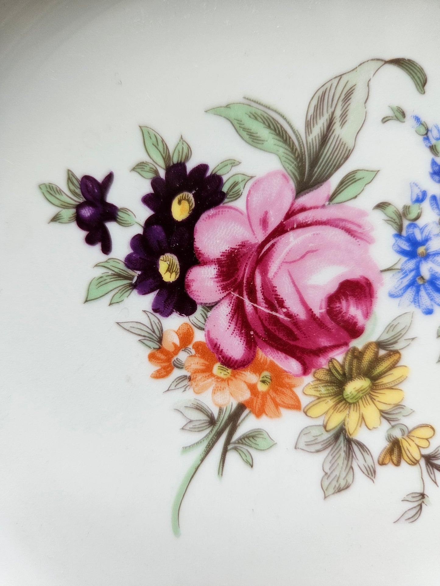 Assiettes creuses porcelaine de Bohême