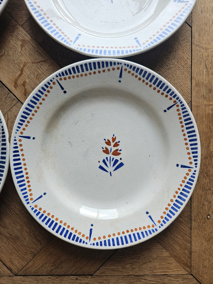 Assiettes plates Hossegor