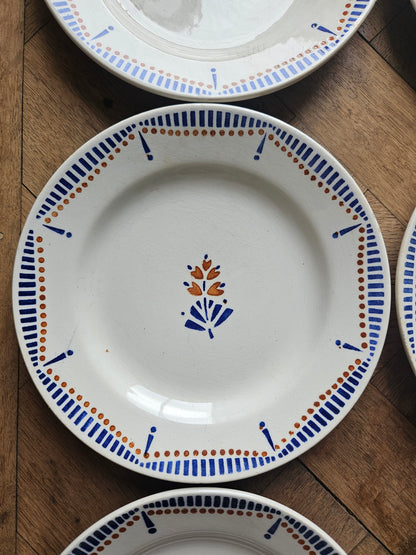 Assiettes plates Hossegor