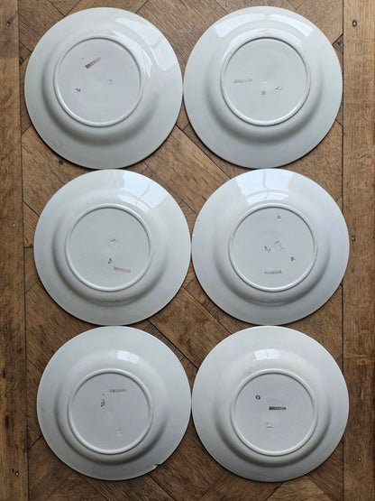 Assiettes plates Hossegor