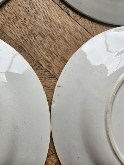 Assiettes plates Hossegor