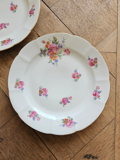 Assiettes plates dépareillées "Périgord"