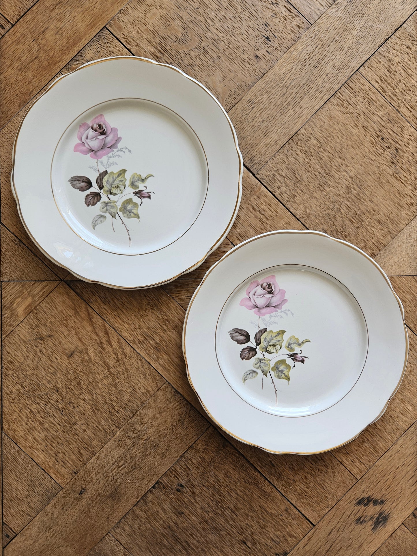 Assiettes plates dépareillées "Périgord"