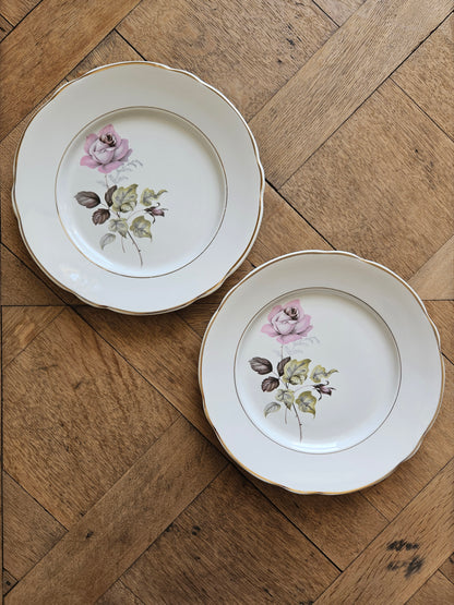 Assiettes plates dépareillées "Périgord"
