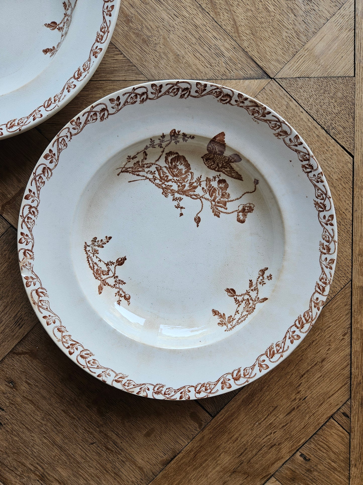 Assiettes creuses terre de fer, coquelicots