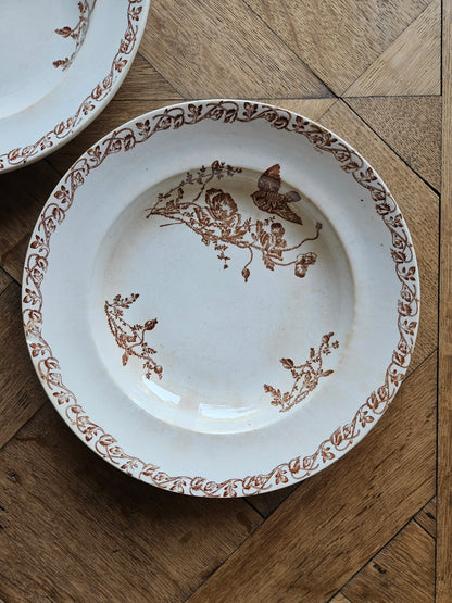 Assiettes creuses terre de fer, coquelicots