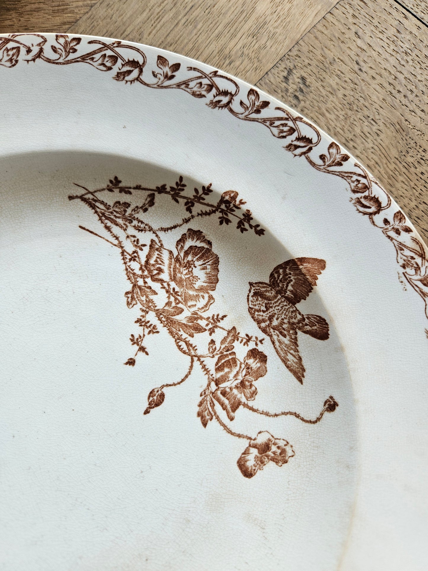 Assiettes creuses terre de fer, coquelicots