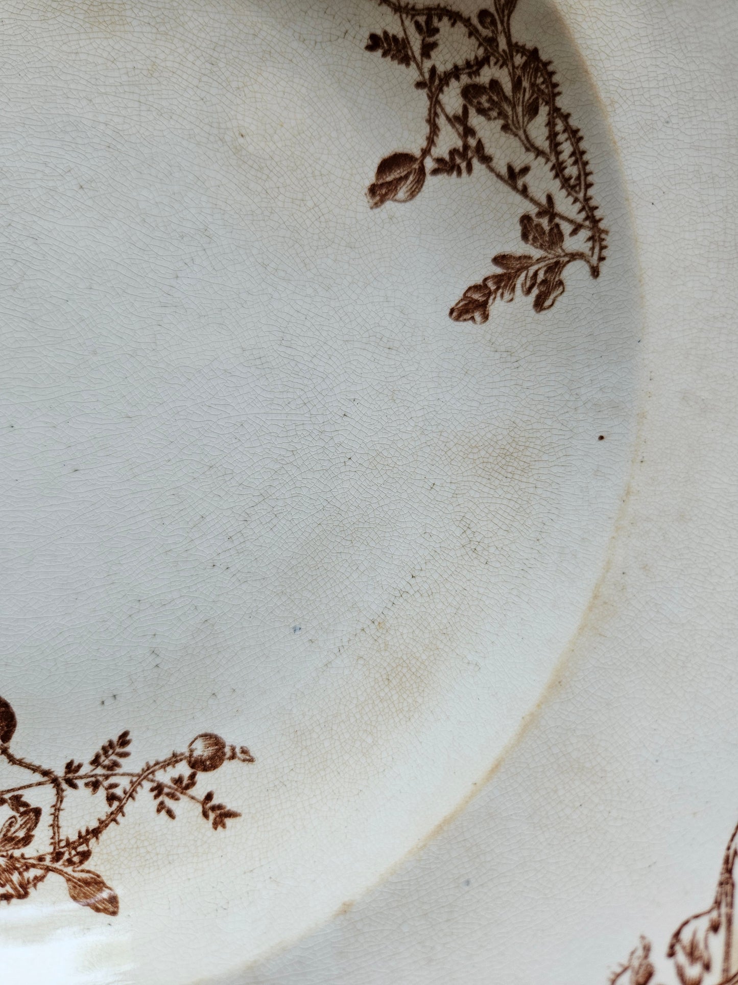 Assiettes creuses terre de fer, coquelicots