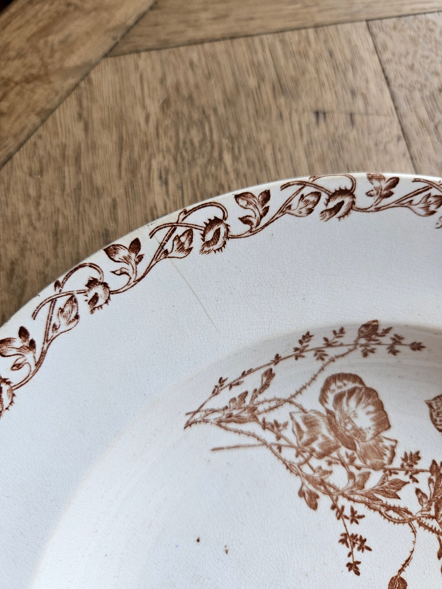 Assiettes creuses terre de fer, coquelicots