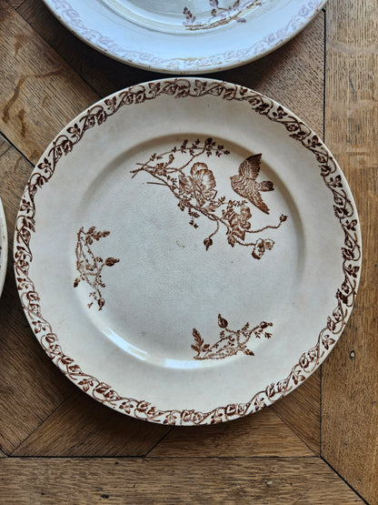Assiettes plates terre de fer, coquelicots