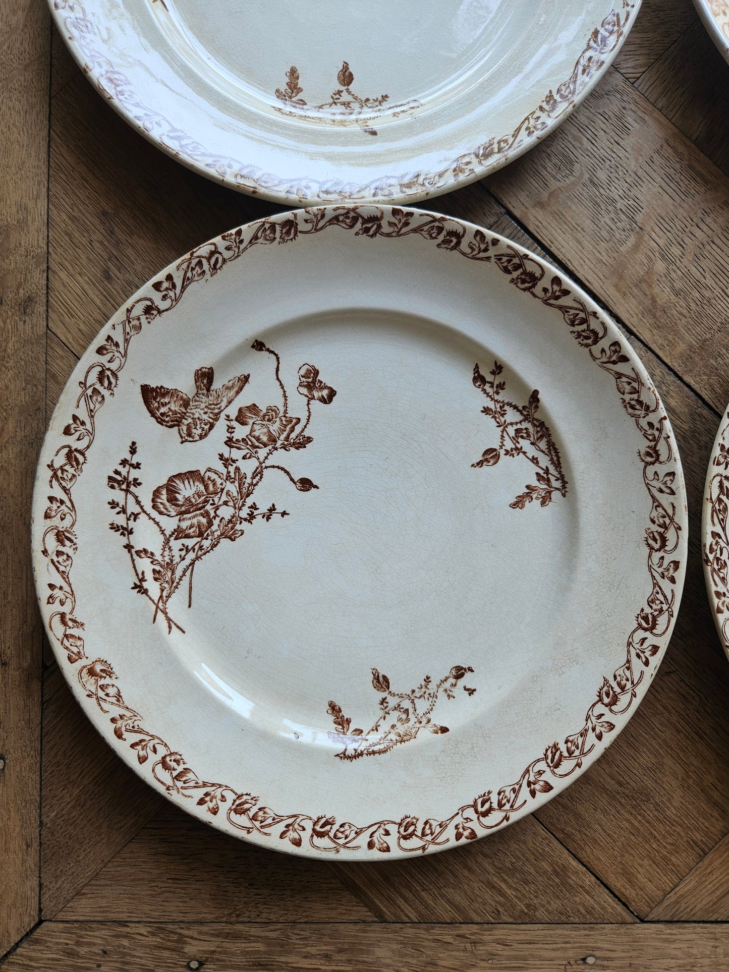 Assiettes plates terre de fer, coquelicots