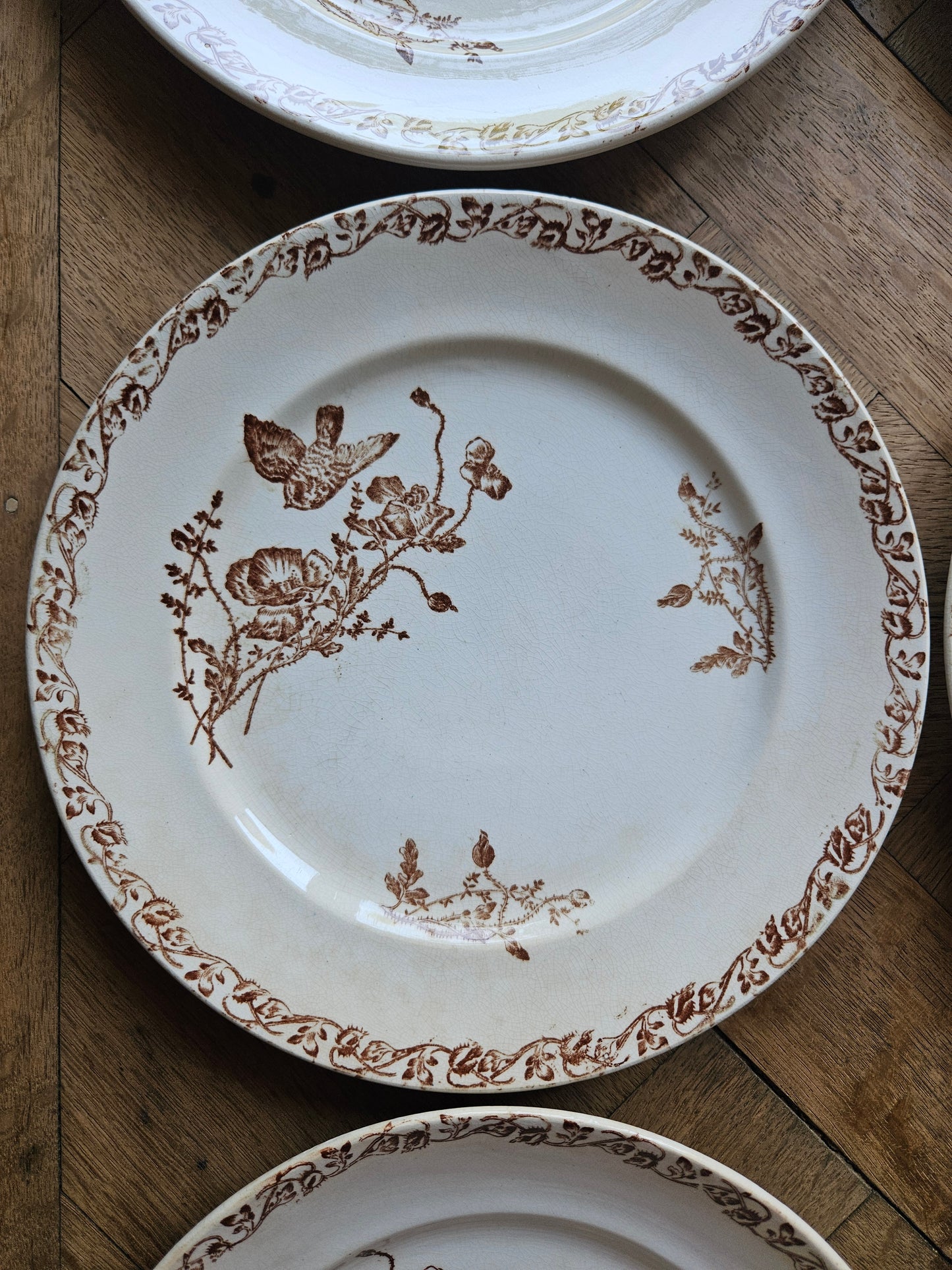 Assiettes plates terre de fer, coquelicots
