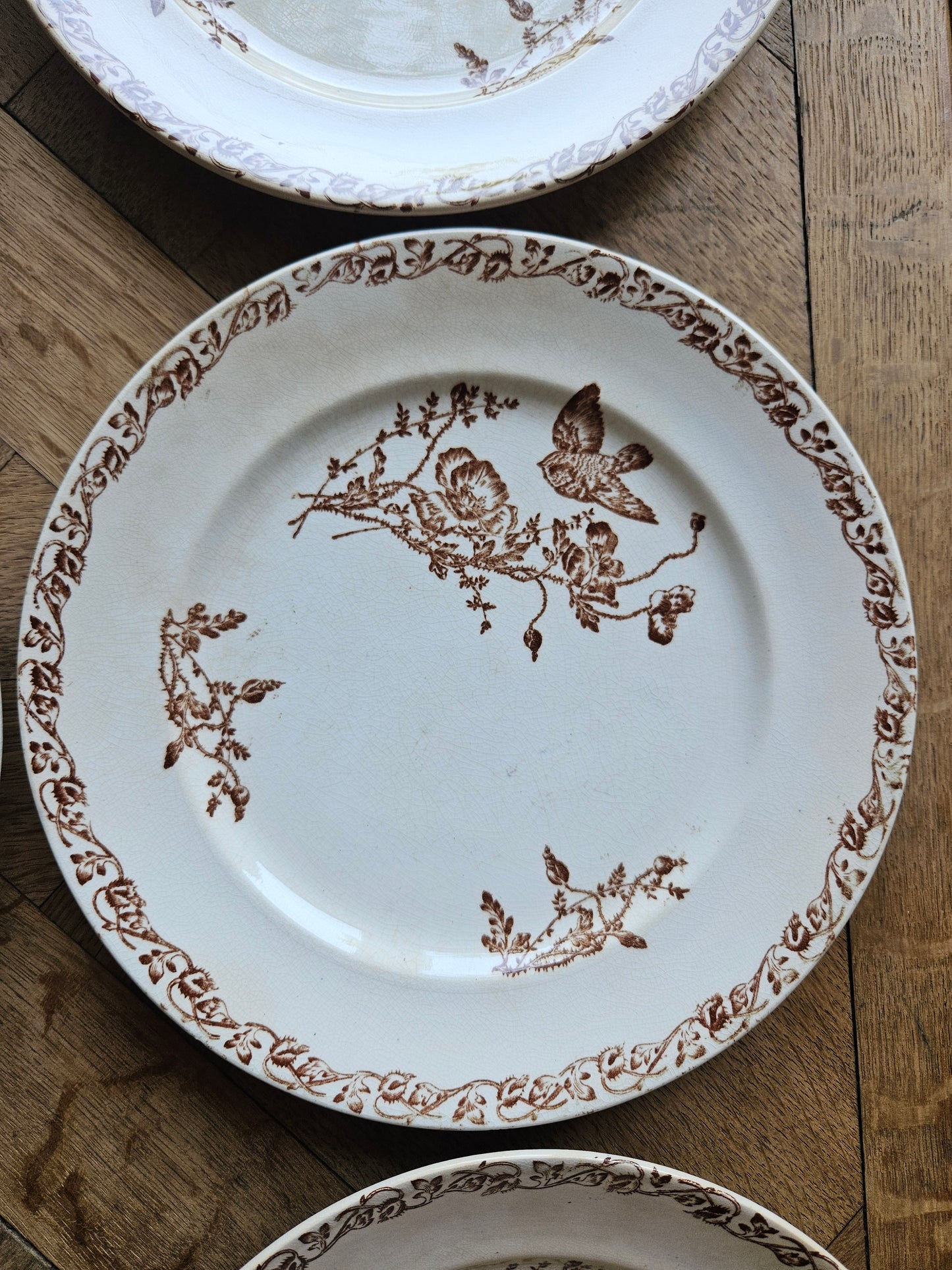 Assiettes plates terre de fer, coquelicots