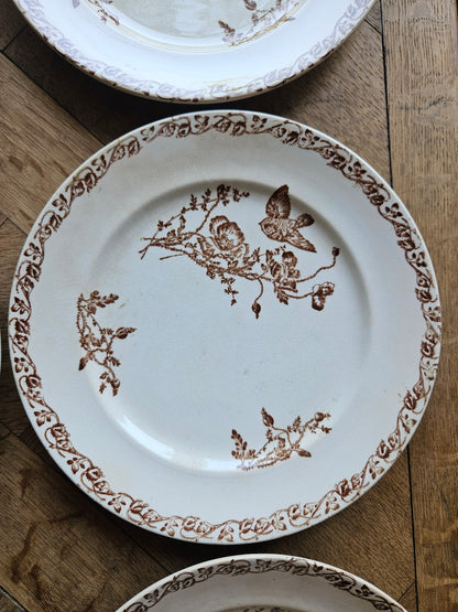 Assiettes plates terre de fer, coquelicots