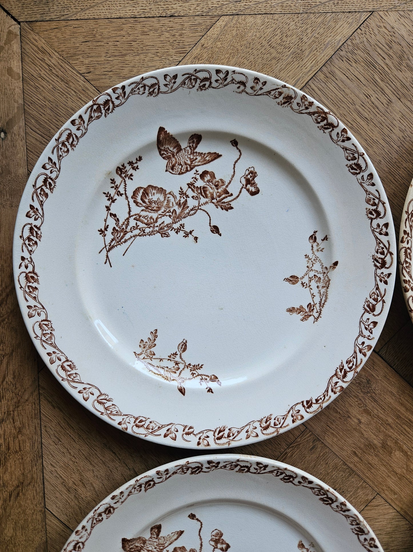 Assiettes plates terre de fer, coquelicots
