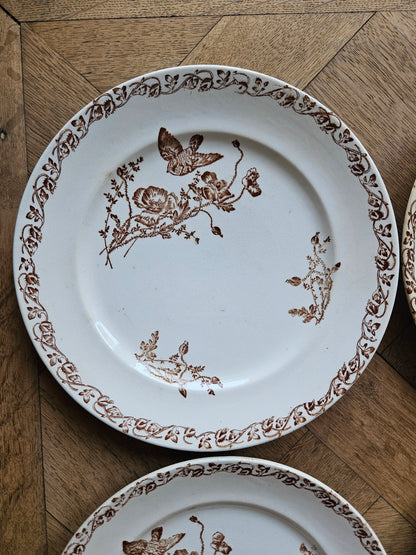Assiettes plates terre de fer, coquelicots