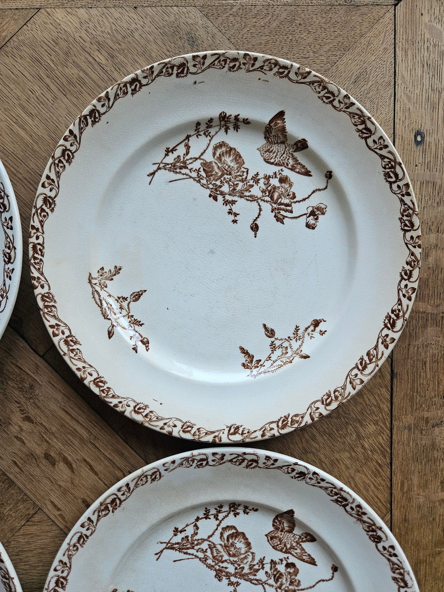 Assiettes plates terre de fer, coquelicots