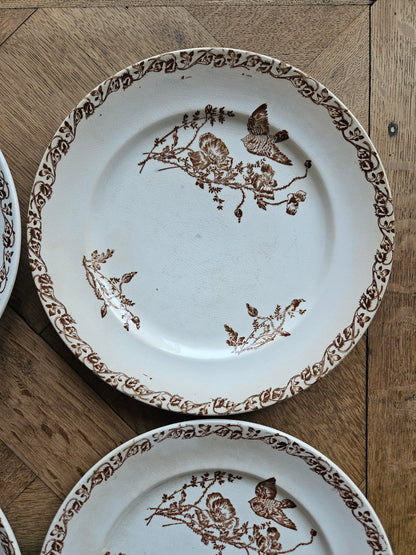 Assiettes plates terre de fer, coquelicots