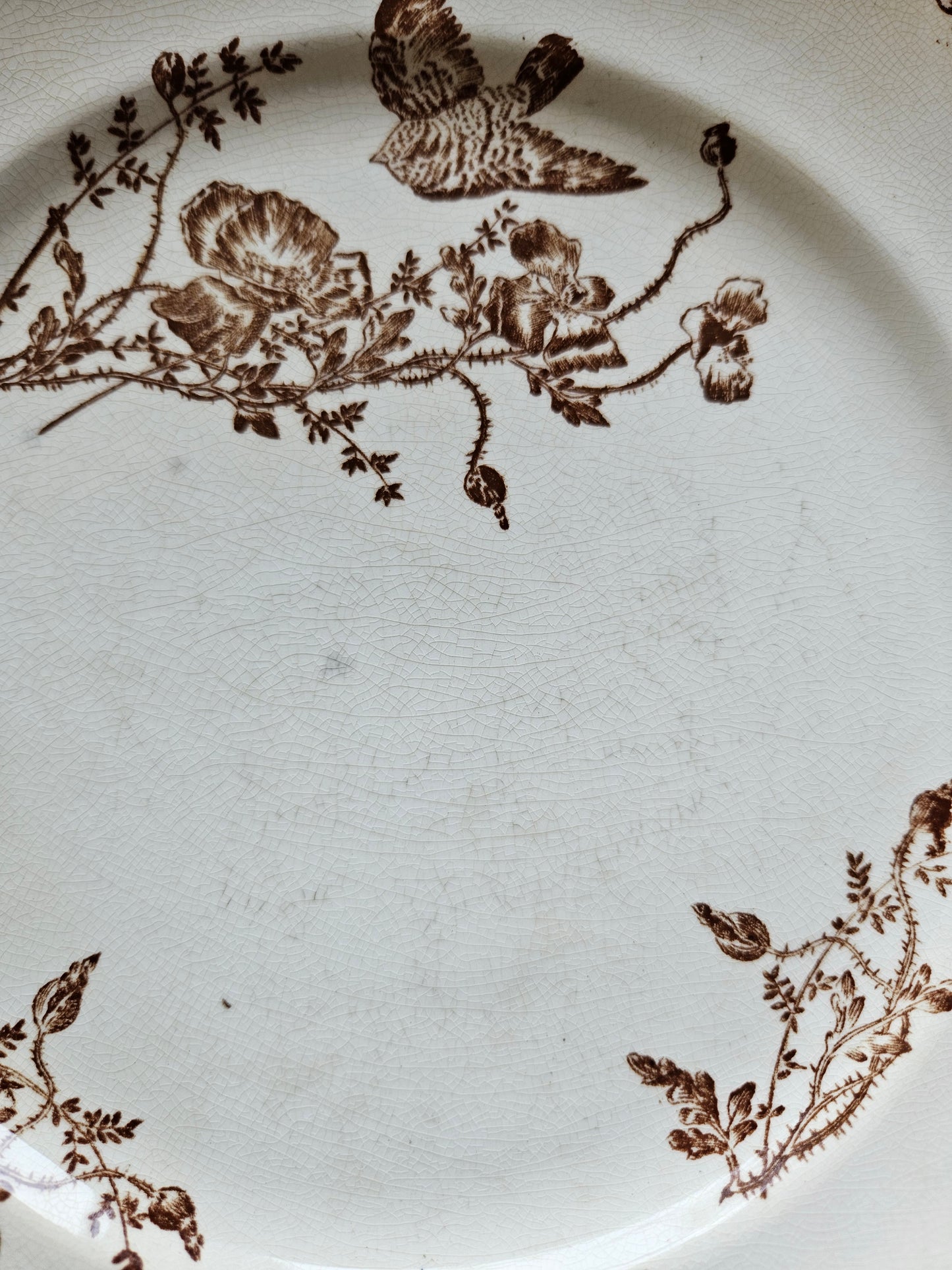 Assiettes plates terre de fer, coquelicots