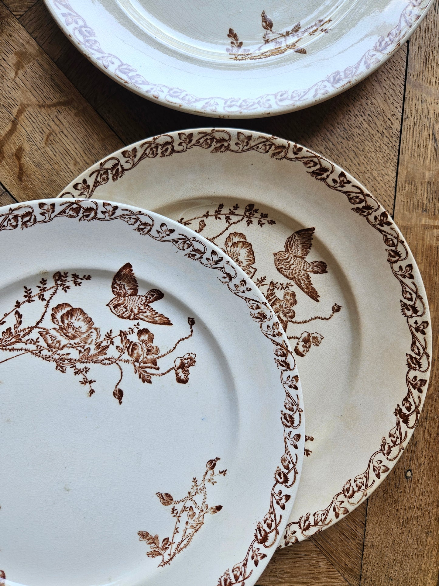 Assiettes plates terre de fer, coquelicots