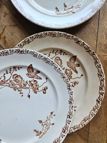 Assiettes plates terre de fer, coquelicots
